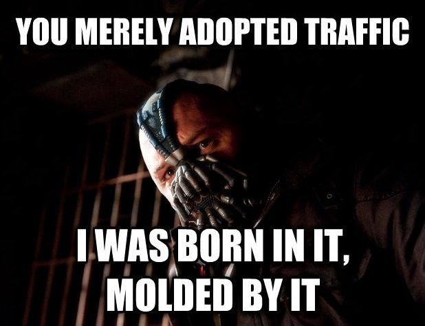 adopted-traffic-meme_printivo_com