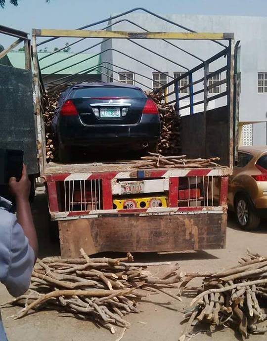 customs intercept car smuugled within bundles of firewood3