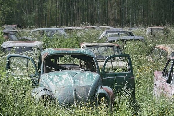 Cars Reclaimed By Nature