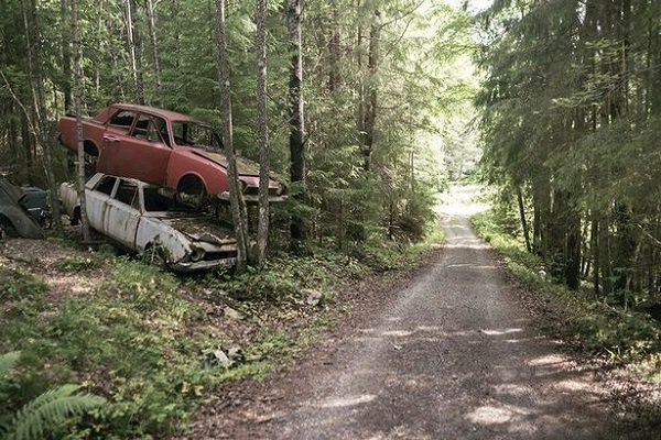 Cars Reclaimed By Nature