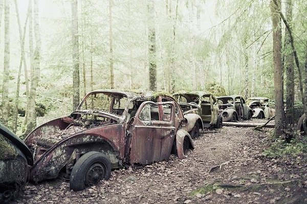 Cars Reclaimed By Nature