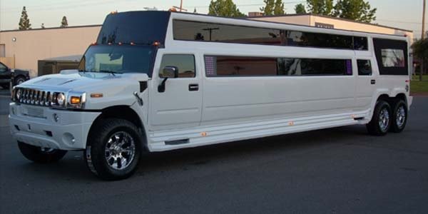 World's Craziest Limousines