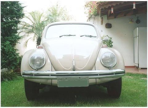 volkswagen-beetle