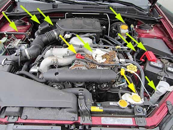 Ways Of Getting Rid Of Rats Or Mice Out Of Your Car Engine ...