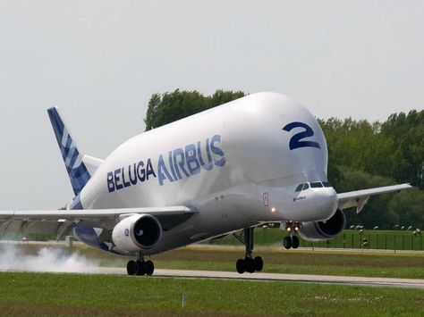 airbus-beluga