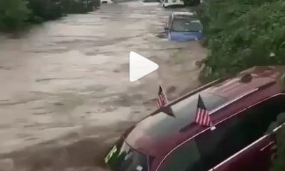 cars floating on river