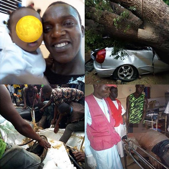 mechanic dies after tree fell on car