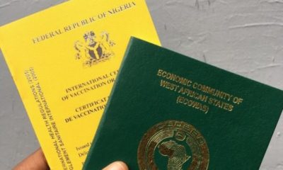yellow fever card and Nigerian international passport held in the hand