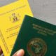 yellow fever card and Nigerian international passport held in the hand