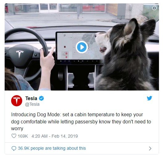 tesla dog mode tweet