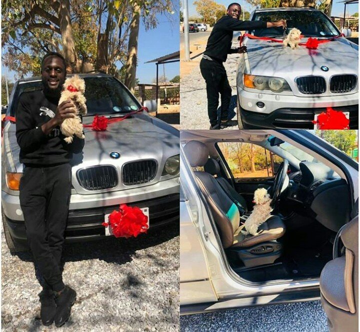 man who bought suv for his dog