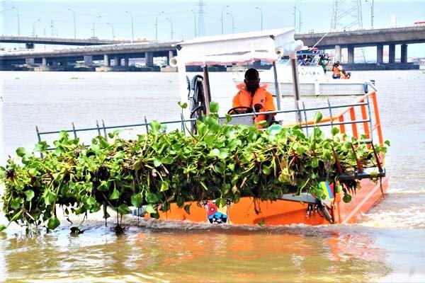 Influx Of Water Hyacinth : LASG Closes Ikorodu Ferry Terminal, Offers Alternative Routes - autojosh 