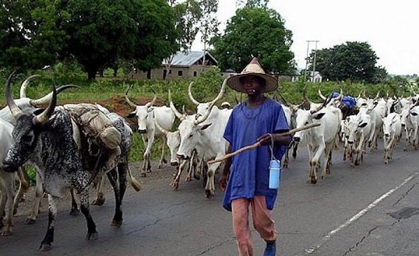 fulani herdsmen