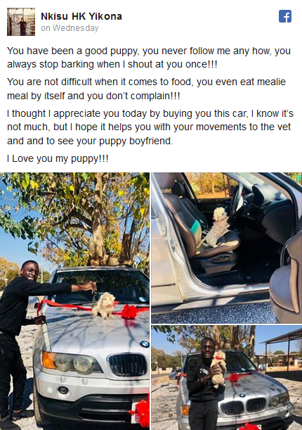 man who bought suv for his dog 