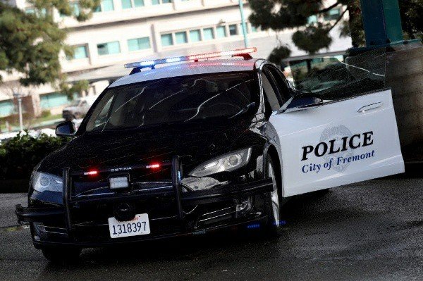 Tesla-Police-Car