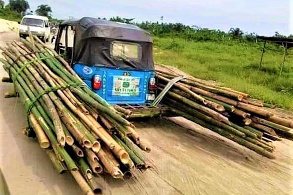 See What This Keke NAPEP Is Carrying