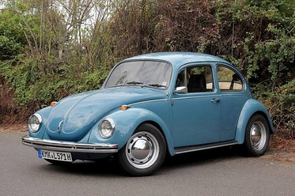 Beetle in 1982 autojosh