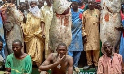 man-with-biggest-fish-at-argungu-fishing-festival-gets-n10m-2-cars-and-two-hajj-seats