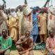 man-with-biggest-fish-at-argungu-fishing-festival-gets-n10m-2-cars-and-two-hajj-seats