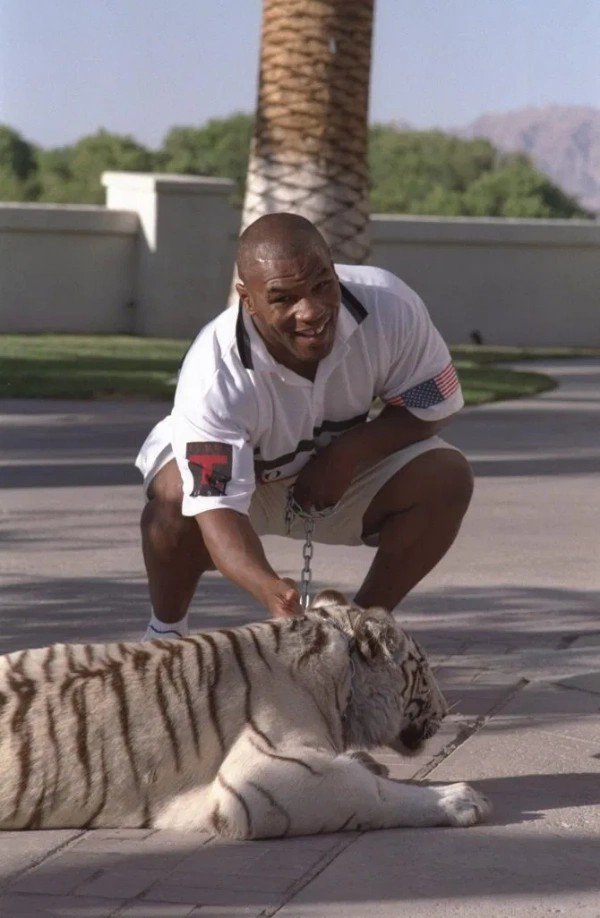 Iron Mike Tyson Exchanged Some Of His Luxury Cars To Get His Three Pet