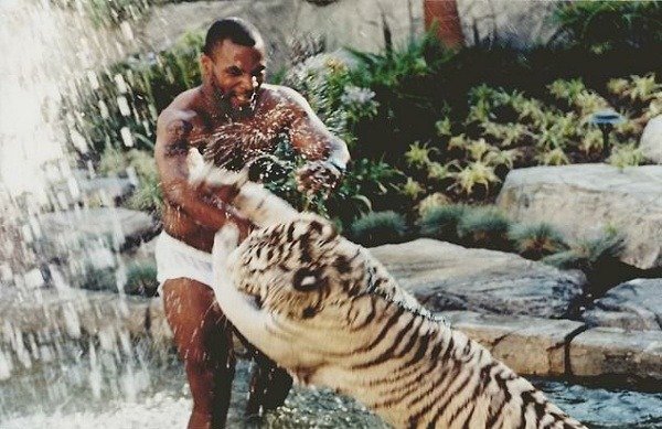 iron-mike-tyson-luxury-cars-pet-tigers