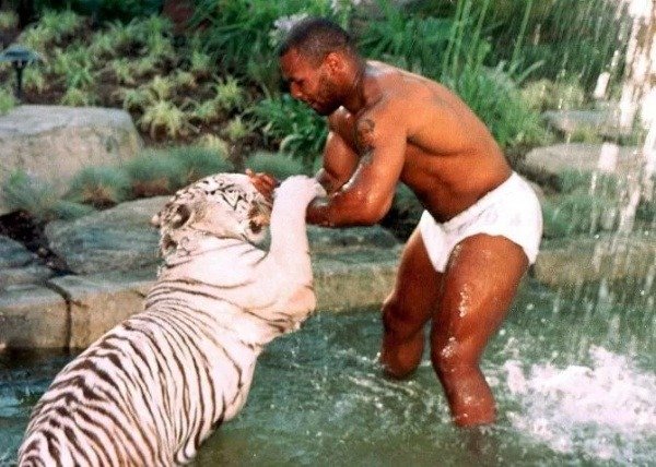 iron-mike-tyson-luxury-cars-pet-tigers