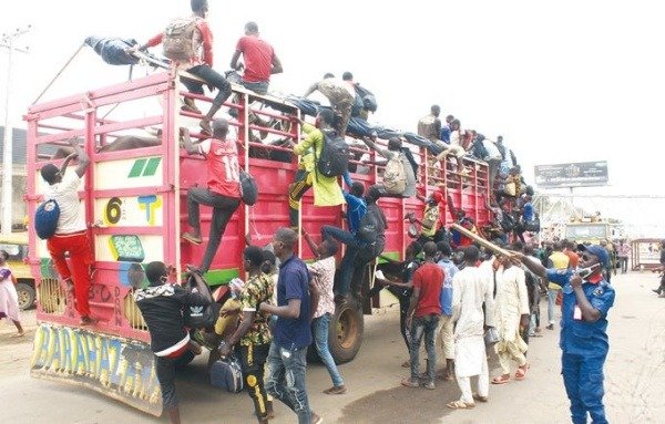 60-lagos-bound-men-from-zamfara-intercepted-in-truck-conveying-cows