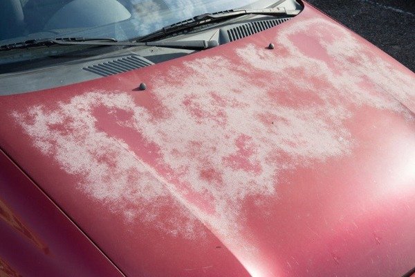 Things That Can Damage Your Car’s Paint autojosh