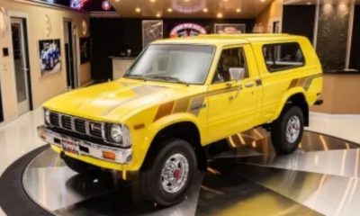 1981-toyota-hilux-trekker-pickup-truck
