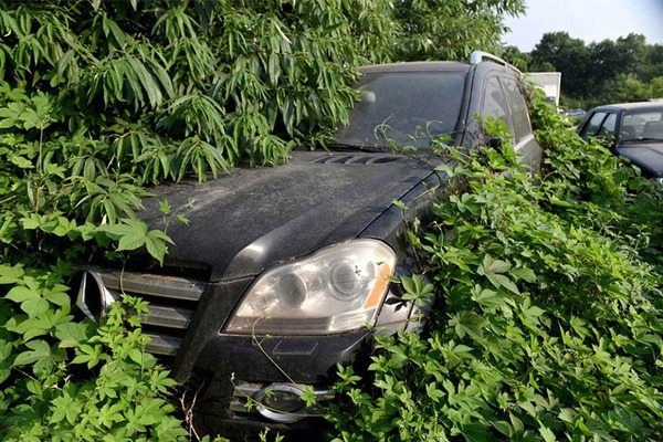 Abandoned Luxury cars autojosh