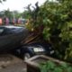 driver-lucky-to-be-alive-after-tree-falls-on-car-during-rainfall-in-surulere-lagos