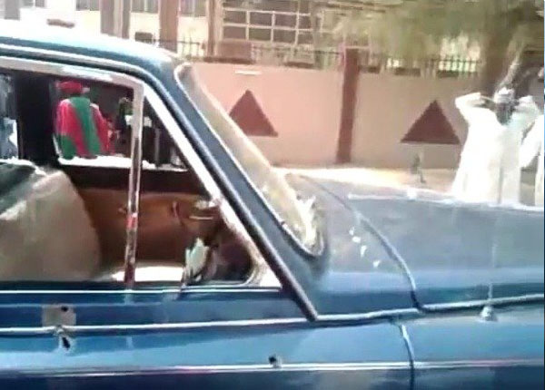 Emir of Kano Jaguar XJ autojosh