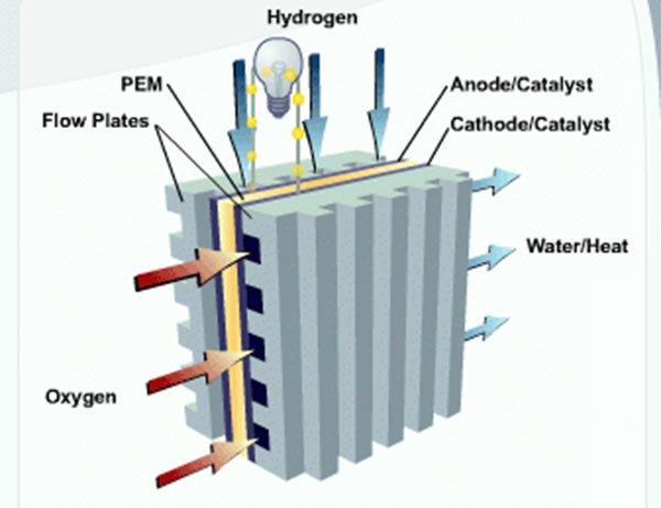 Fuel Cell Cars