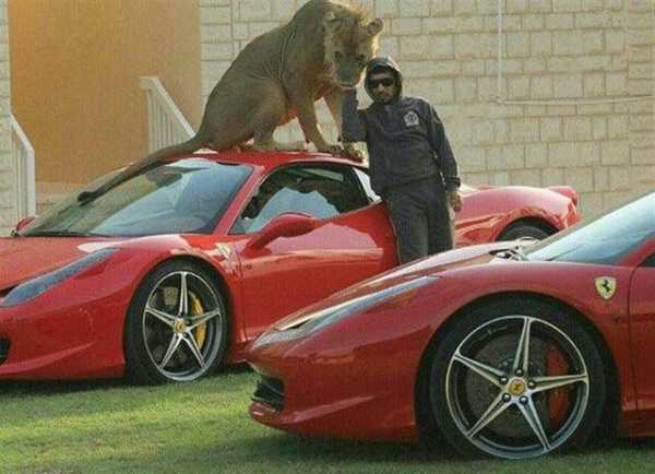 dubai-instagram-celebrity-poses-with-lions-tigers-supercars