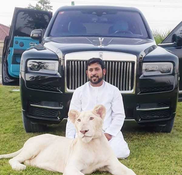 Meet Dubai Instagram Celebrity Who Poses With Lions, Tigers And Supercars -  AUTOJOSH