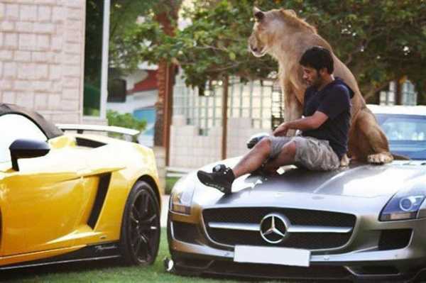 Meet Dubai Celebrity Who Loves Posing With His Supercars And Wild Pets, Including Tiger, Lion, Cheetah - autojosh 