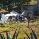plane-loaded-with-cocaine-crashes-in-mexico