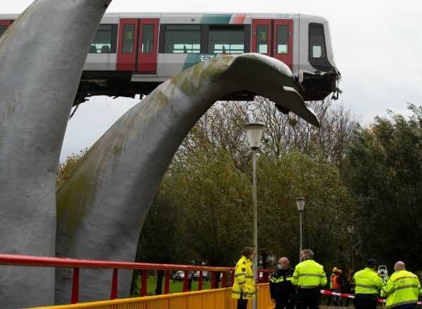 Whale Statue Saved Crashed Train From Falling 30-Feet To The Ground - autojosh