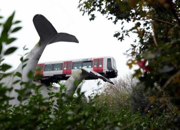Whale Statue Saved Crashed Train From Falling 30-Feet To The Ground - autojosh 