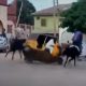 Horse Crashes Into A Keke During Dangerous Racing Competition In Northern Nigeria - autojosh