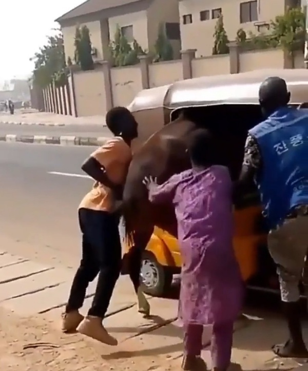 Watch As Young Men Tries To Transport A Horse With Tricycle - autojosh