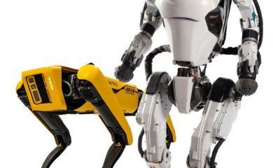 Hyundai Motors Buys Robotics Company, Boston Dynamics, For $1.1b - autojosh