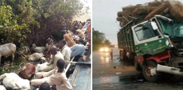 Trailer Loaded With Cows And 55 People Somersaults, Kills 22, Injures 33 In Niger - autojosh