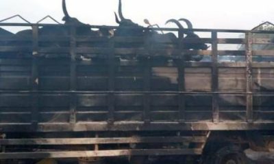 Mob Sets Truck Conveying Cows Ablaze After Crushing A Man To Death In Oyo - autojosh