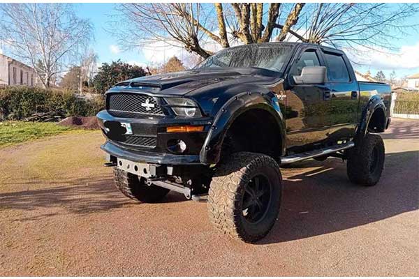 This Ford F-150 Pickup Has The Front Of A Mustang And Was Spotted In France 