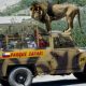 This Caged Safari Jeep Was Specially Designed To Allow Tourists To Move Closer To Lions - autojosh