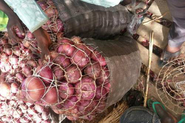 Shasa Market onion