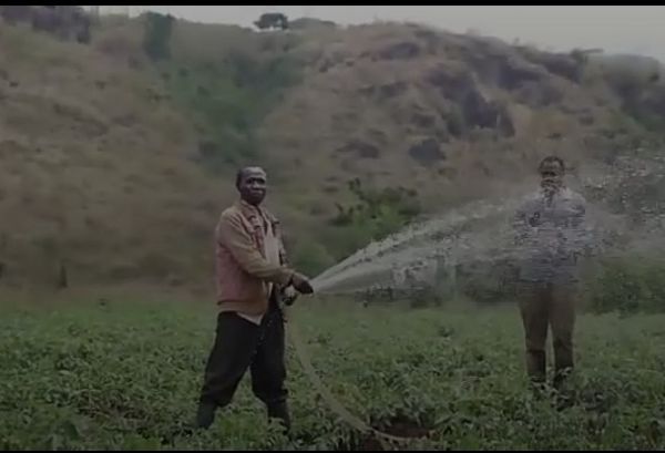 Ugandan Biker Repurposed His Motorcycle To Pump Water Into His 2-acre Tomato Farm - autojosh 