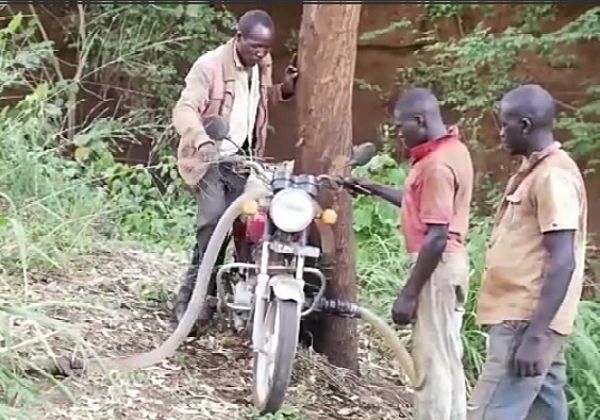 Ugandan Biker Repurposed His Motorcycle To Pump Water Into His 2-acre Tomato Farm - autojosh 