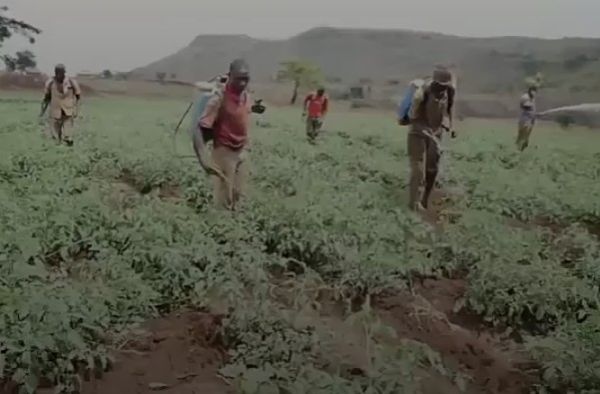 Ugandan Biker Repurposed His Motorcycle To Pump Water Into His 2-acre Tomato Farm - autojosh 